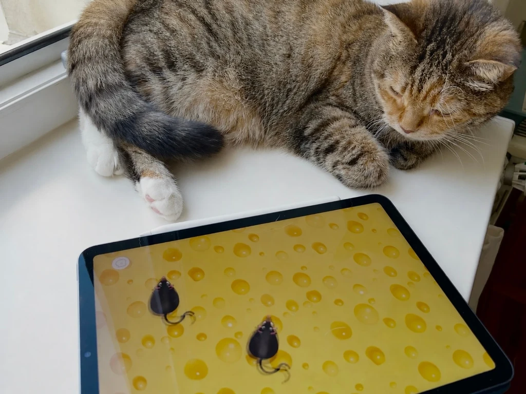 Гра Meow і кішка Флешка, яка не виявила інтересу до віртуального полювання Гра Meow і кішка Флешка, яка не виявила інтересу до віртуального полювання