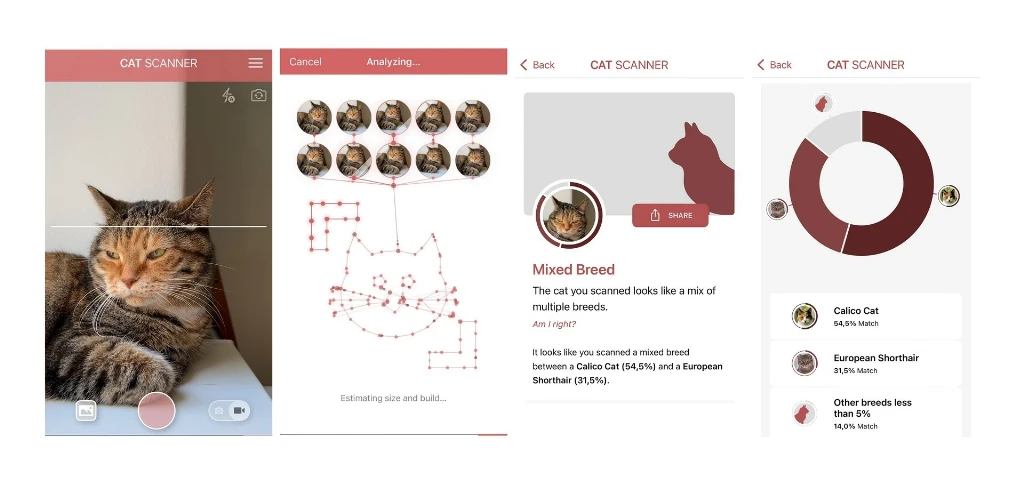 Застосунок Cat Scanner Застосунок Cat Scanner